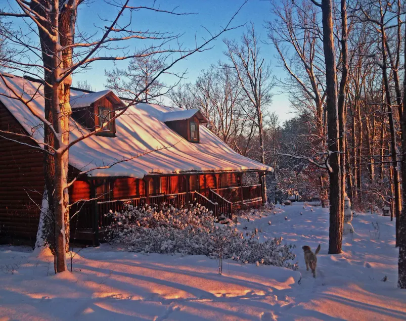 Barefoot Hills - Image 1