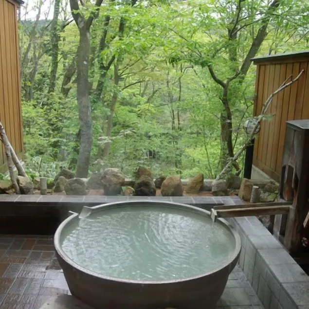 Shiobara Onsen Okushiobara Kogen Hotel - Image 1