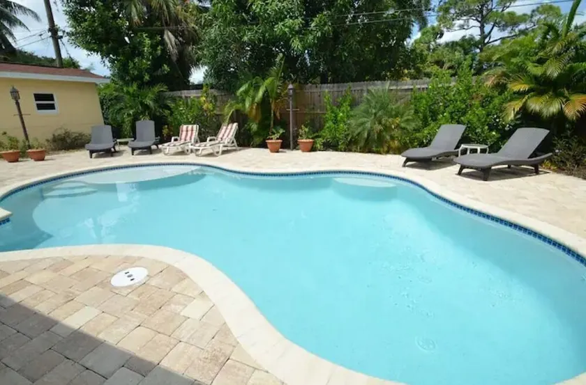Palm Breeze - Image 1
