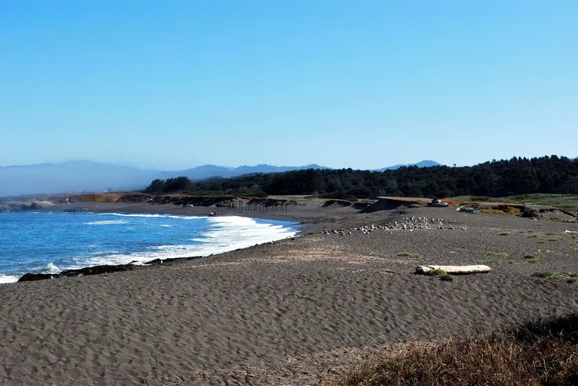 Beach Haven - MacKerricher State Park nearby - Ocean View Home & Guest House - Image 1