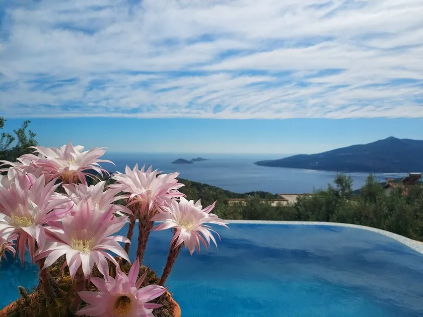 Discover Kybele Kalkan – Your Private Escape in Paradise - Image 1