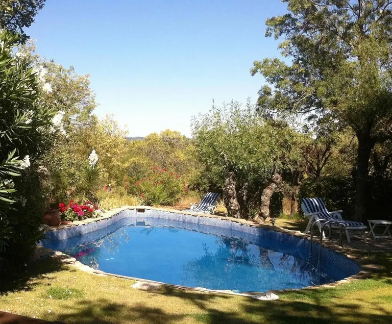 Belle maison unique à El Escorial, piscine, WIFI, avec des arbres indigènes - Image 1