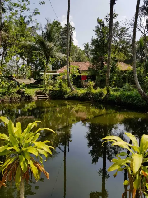 Premium home stay with in-house Ayurveda body massage - Image 1