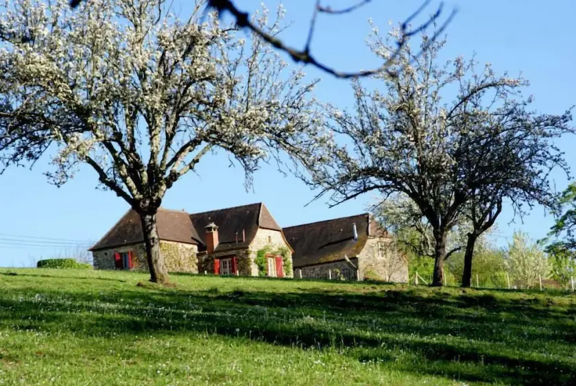 Graziosa villetta, piscina turchese privata, PLAZAC-prox. tesori del Périgord - Image 1