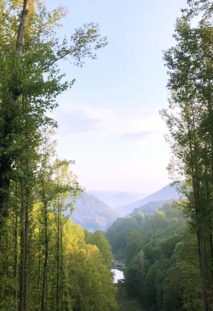 Gorgeous Mountain View 8 miles from Appalachian Trail - Image 1