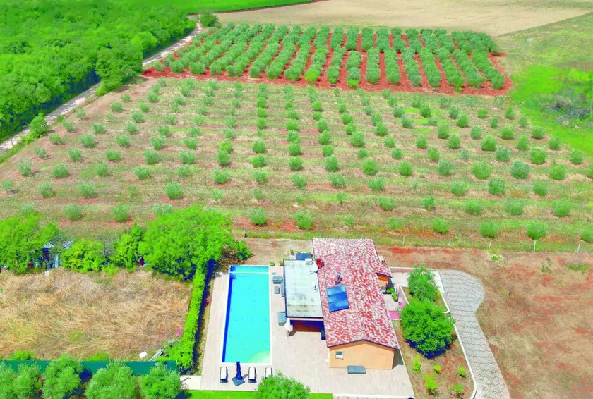 Villa Absolute Privacy: unique in Istria! - Image 1