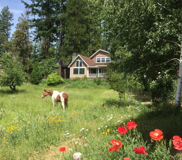 Meadow House in der Nähe von Crater Lake Südeingang, obere Rogue River, 100-Morgen-Trails - Image 1