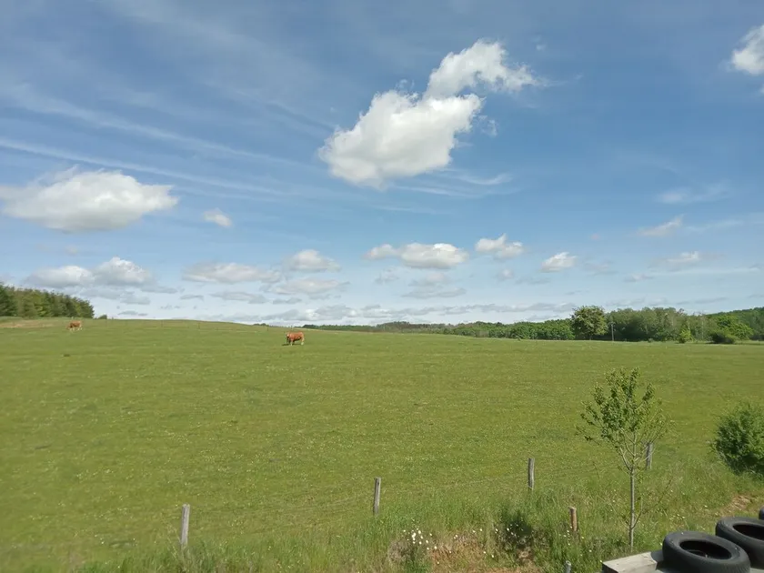 Une petite maison au calme dans les champs près de l'Abbye d'Orval. - Image 1