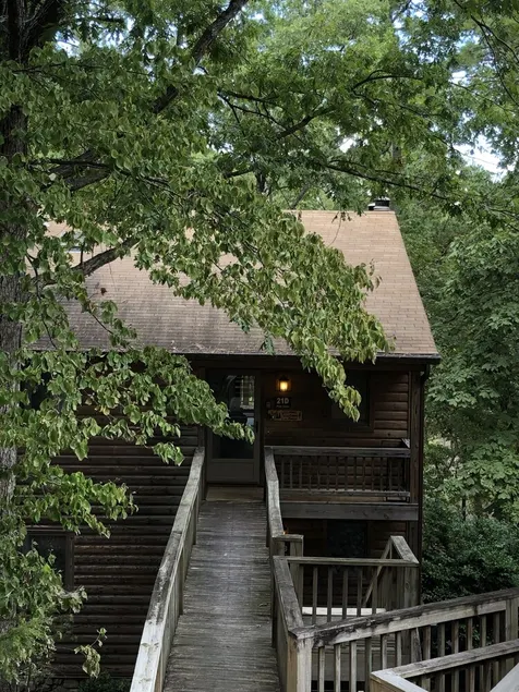 Judy's Condo in the Forest at Lake Ouachita - Image 1