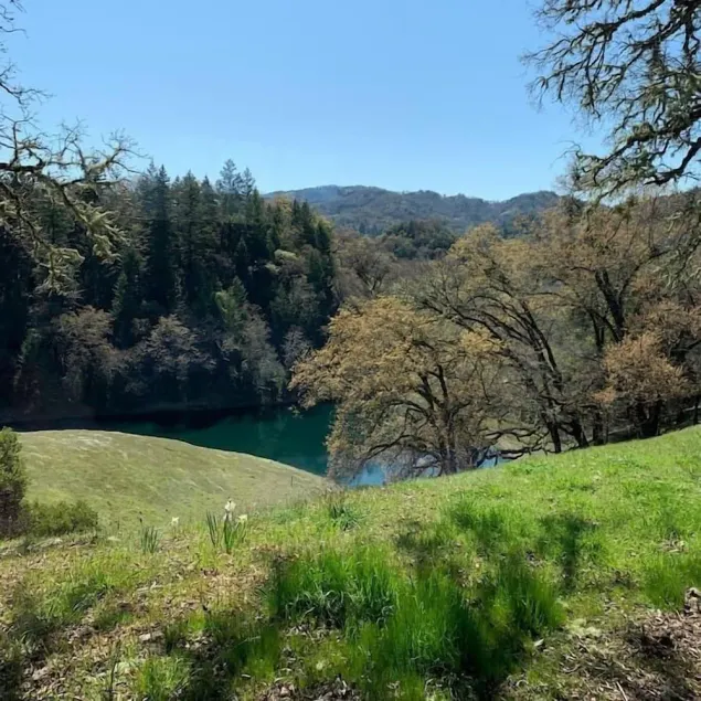 VIEWS!!  Last Minute/Longer Stay SPECIALS! - Image 1