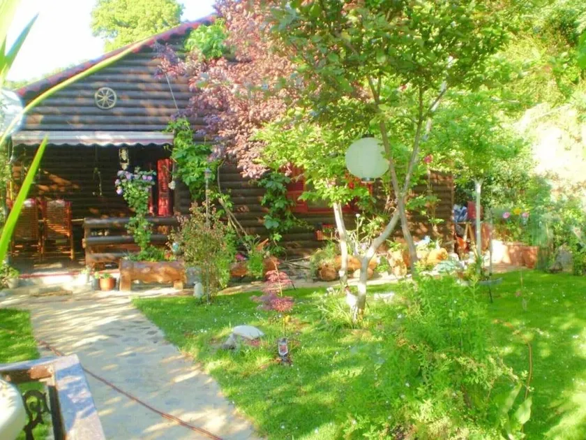 Holidays in the see and mountains - Image 1