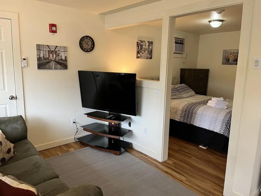 City Fox 4, #4 of 4 - new renovation in Oneonta, convenient to All Star Village - Image 1