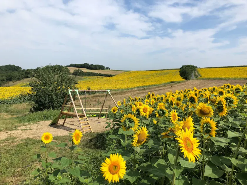 Ancien Corps de Ferme au Milieu des Tournesols - Image 1