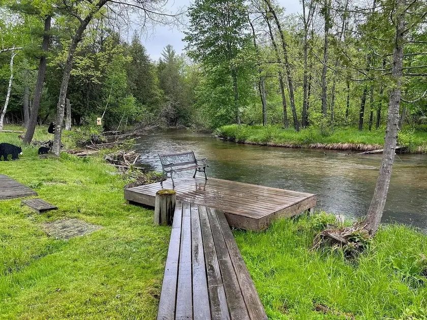Deluxe Little Manistee River Cabin - Irons, MI - Image 1