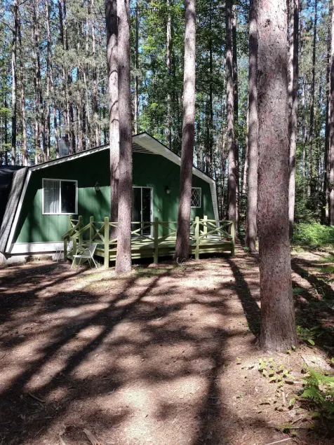 2bed Up North Cabin with hiking area -5 min to Au Sable river, orv trails & golf - Image 1