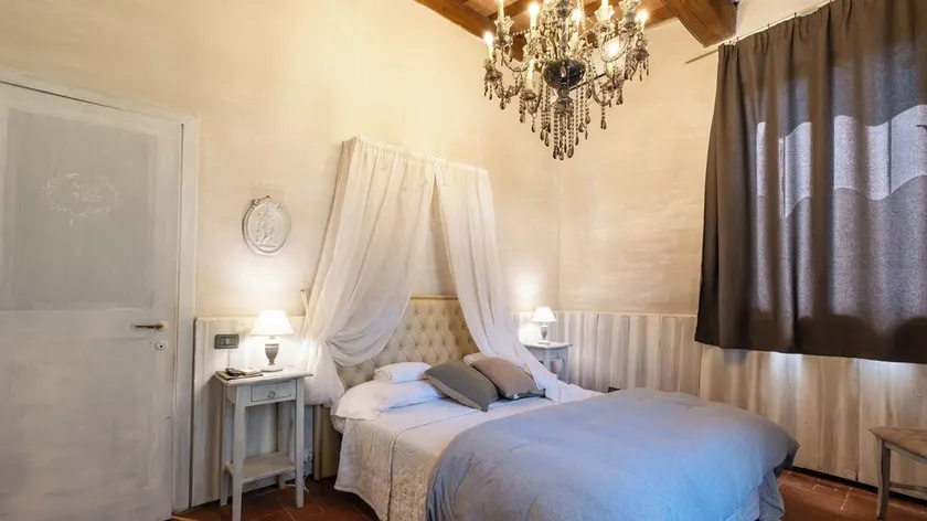 Il CASTAGNOLO COUNTRY B&B Torre Pesciolini - Image 1