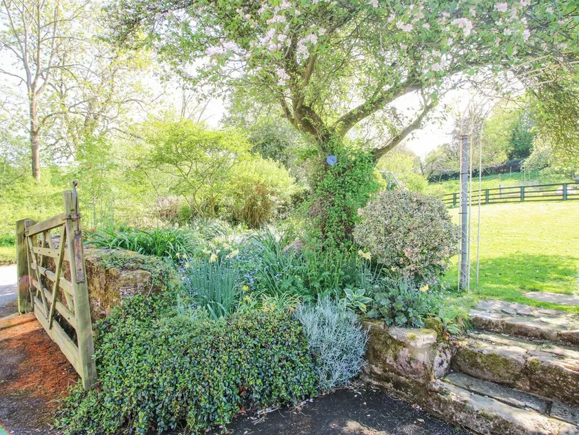 Caradoc Cottage - Image 1