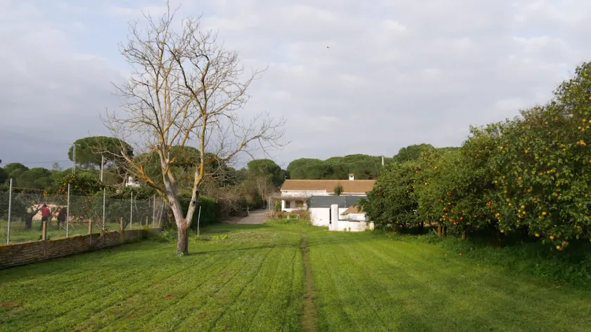 RURAL HOUSE WITH POOL NEAR THE SEA in ALJARAQUE - Image 1