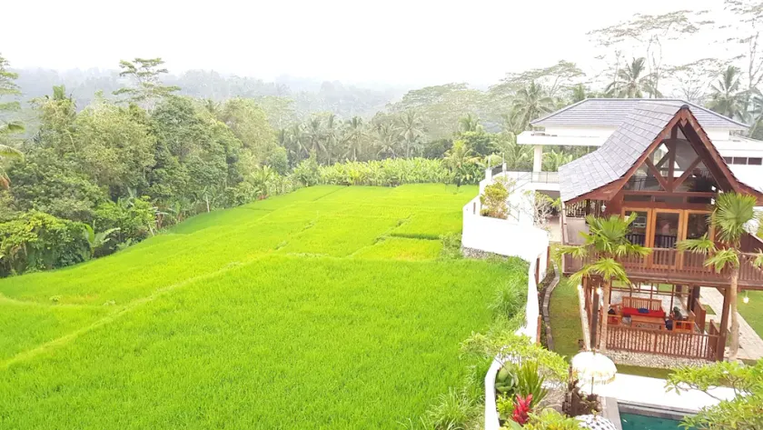 Peaceful Private Pool Villa - 9 BR with Amazing Green Rice Field View - Image 1