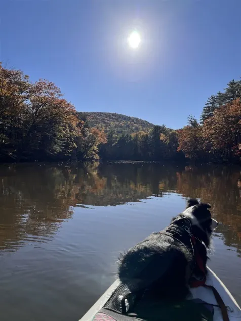 DIRECTLY ON THE SACO RIVER.  5500' of Frontage - Image 1