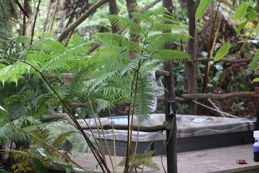 Volcano Rainforest Retreat with a Hot Tub - Image 1
