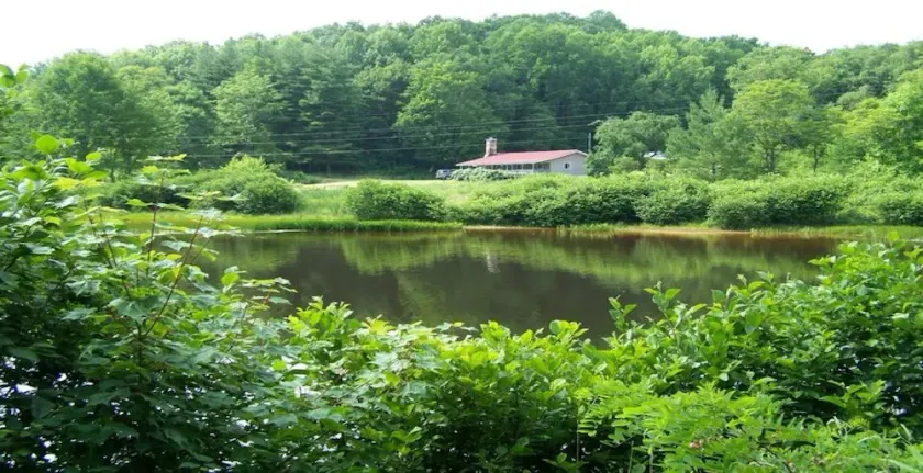 Secluded Cabin On Peaceful 100+ Acres with hot tub! - Image 1