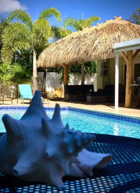 Nytt på marknaden! Renoverad 3BR / 2BA med stor uppvärmd saltvatten pool och tiki bar - Image 1