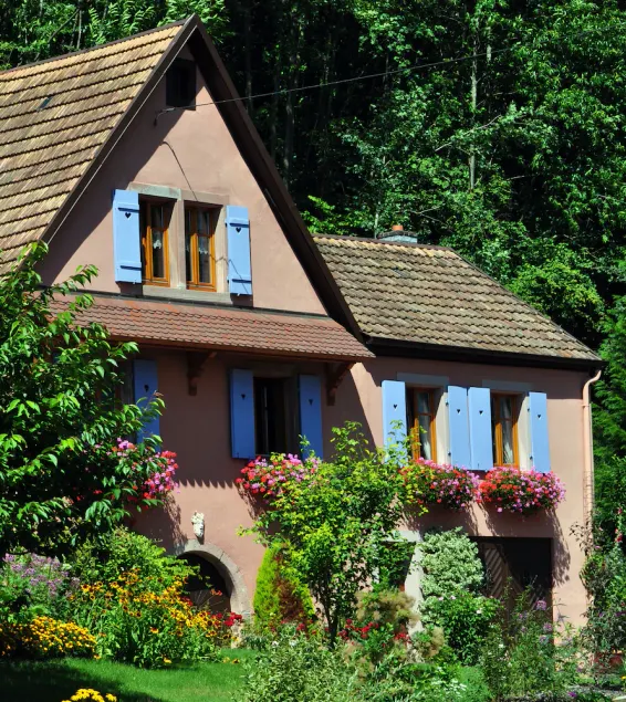 Cottage em uma calma e verde pistas de esqui perto de caminhadas - Image 1