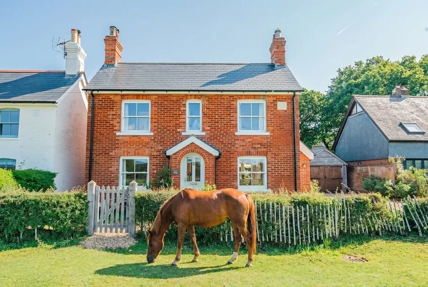 Spacious family retreat with large garden and wild ponies - Image 1