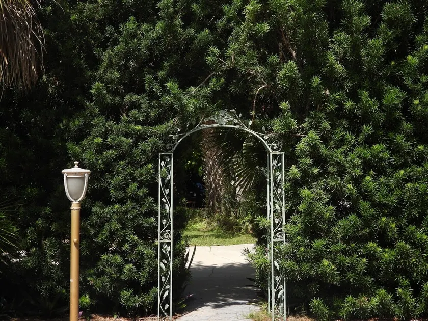 Marker 99 Resort - Image 1