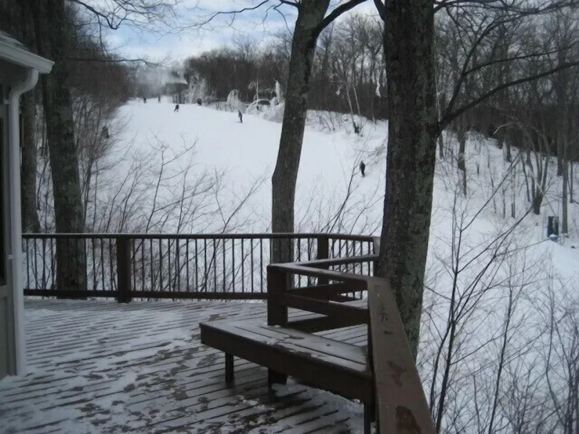 COZY SKI COTTAGE - Ski i Ski OUT - Image 1