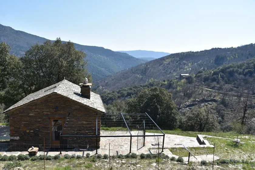 La Vigne - SAINT MARTIN DE LANSUSCLE - Image 1