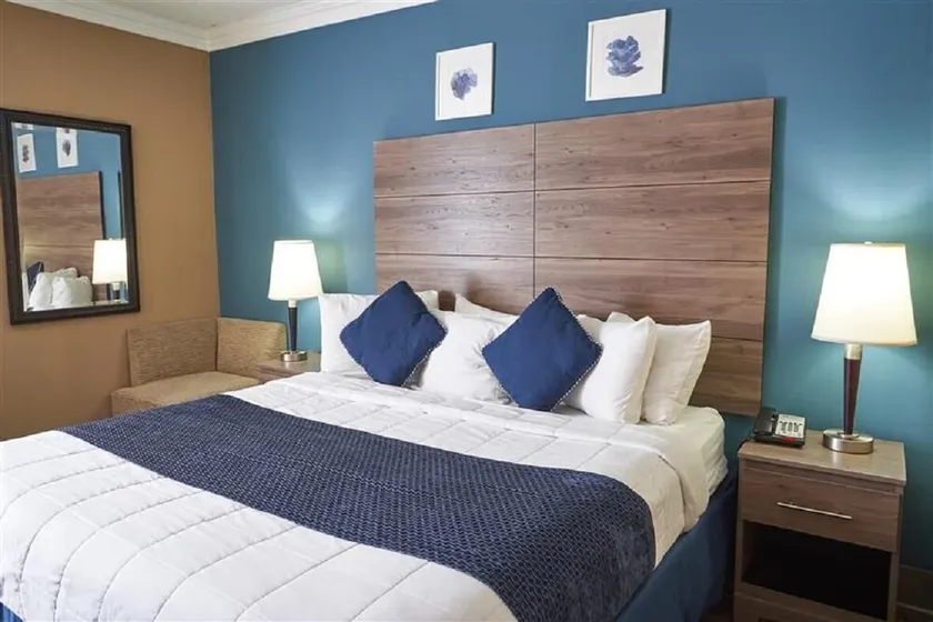 King Bed Standard View - Image 1