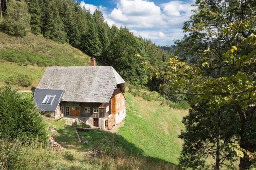 Stand alone Vacation Rental in the forest in modern restored historic farmhouse - Image 1