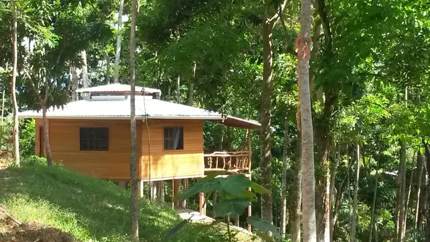 Forest hut and hot springs - Image 1