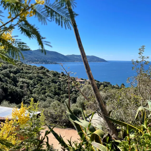 House with large terrace, garden  and spectacular sea view. Very quite area. - Image 1