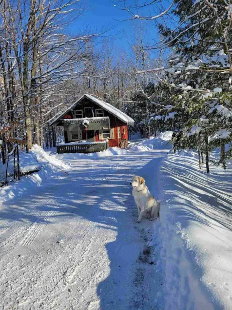 Cozy creekside cabin near Big Powderhorn's Lift #1 & Recreational Trail #2!! - Image 1