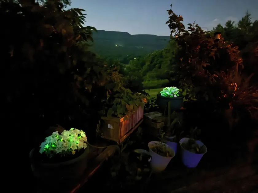 Utopian Country Retreat - Image 1