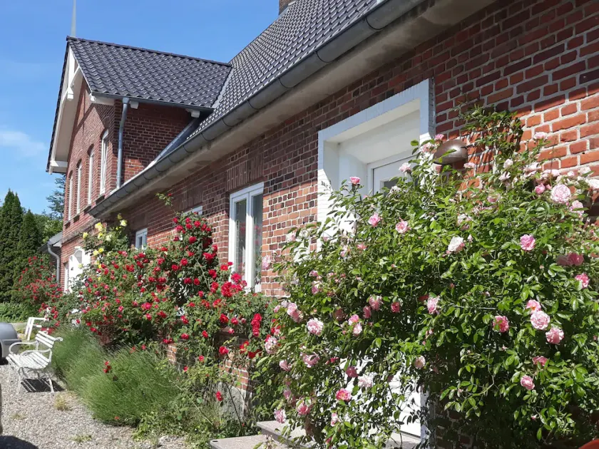 Abstand und Raum- Geräumige Ferienwohnung für Zwei - Image 1