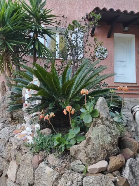 Tizzano, villa con giardino individuale. - Image 1