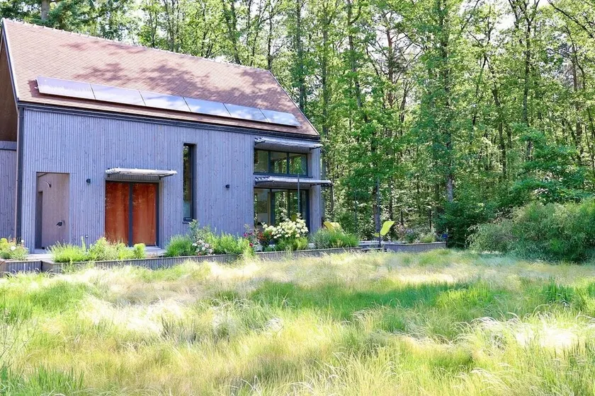 Cabin in the Fontainebleau Forest - Image 1