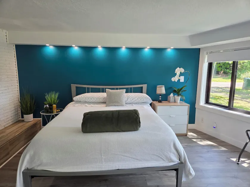 Freshly remodeled, modern & dog friendly unit! - Image 1
