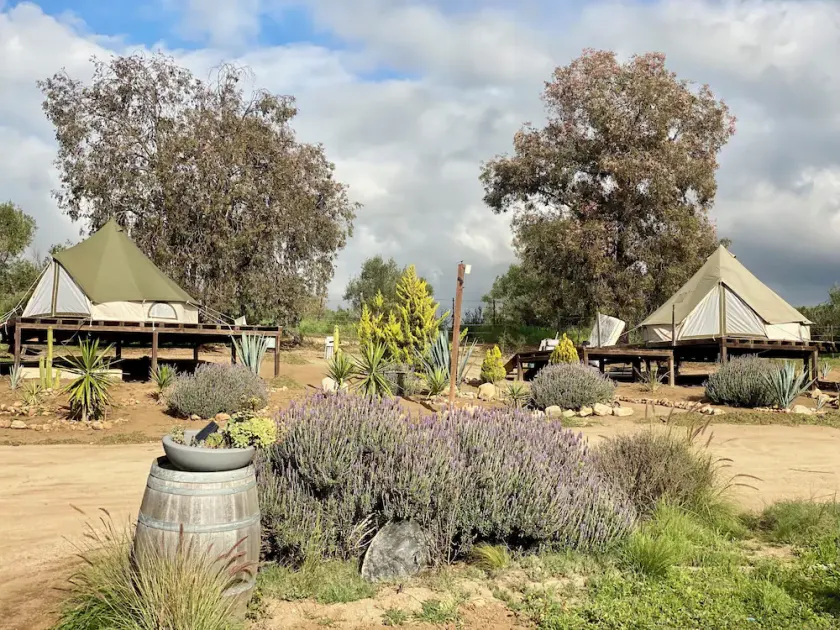 Cosmo Glamping - Image 1