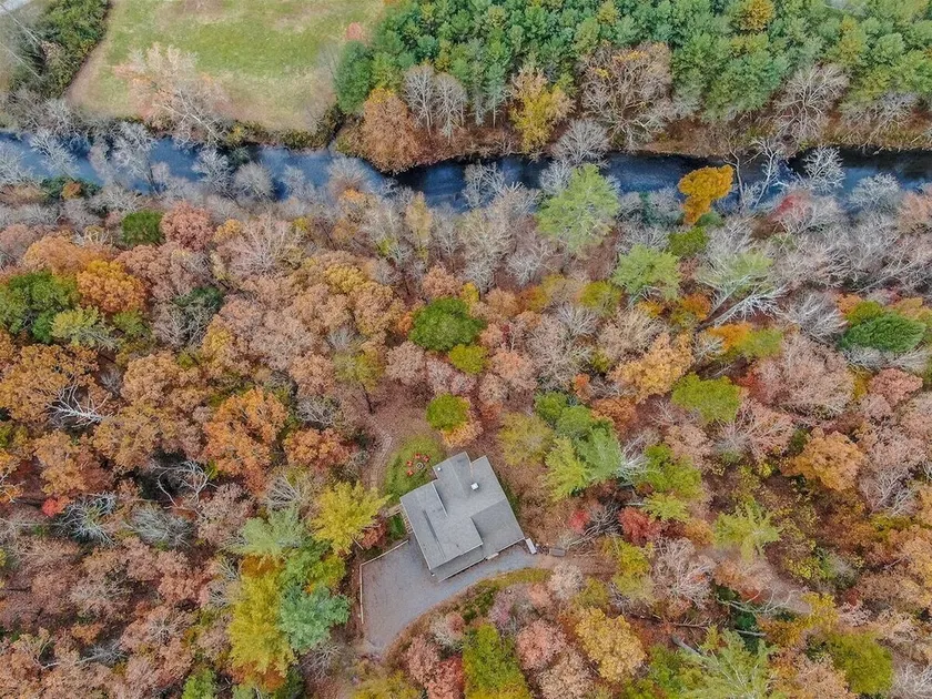 Doc & Molly`s | Cherry Log, Ga - Image 1
