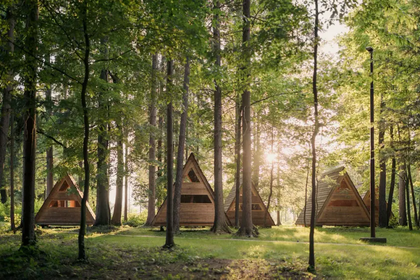 Wooden hut 'Forest bed' near to the river Savinja - Image 1
