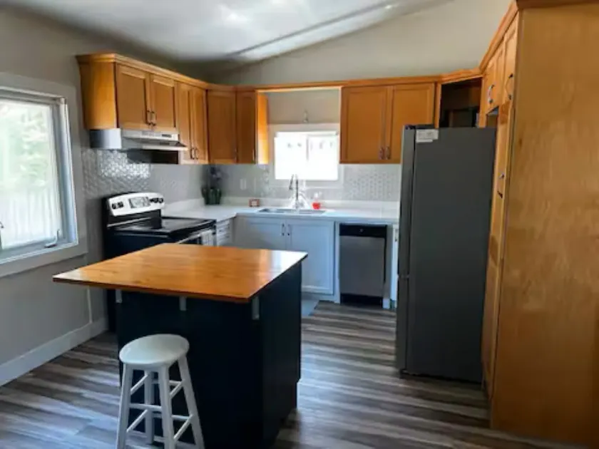 Renovated 2 Bedroom Apt Central Hamilton - Image 1
