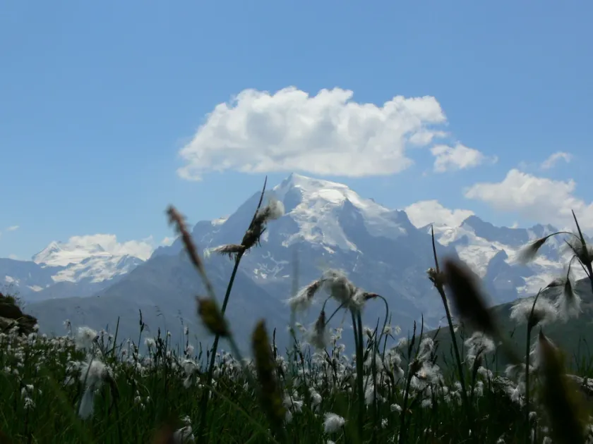 Family-friendly Ortler vacation apartment.  - Image 1