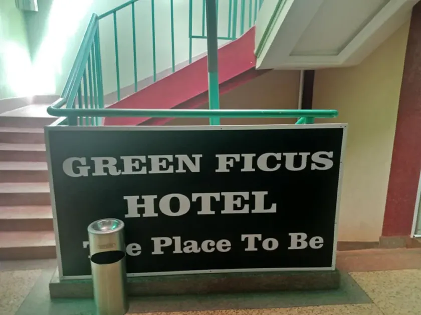 Green Ficus Place - Image 1