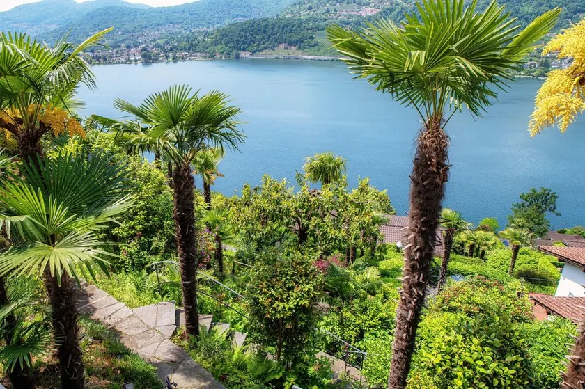 Studio-Apartment mit Terrasse mit Seeblick (LA PALMA 3) - Image 1