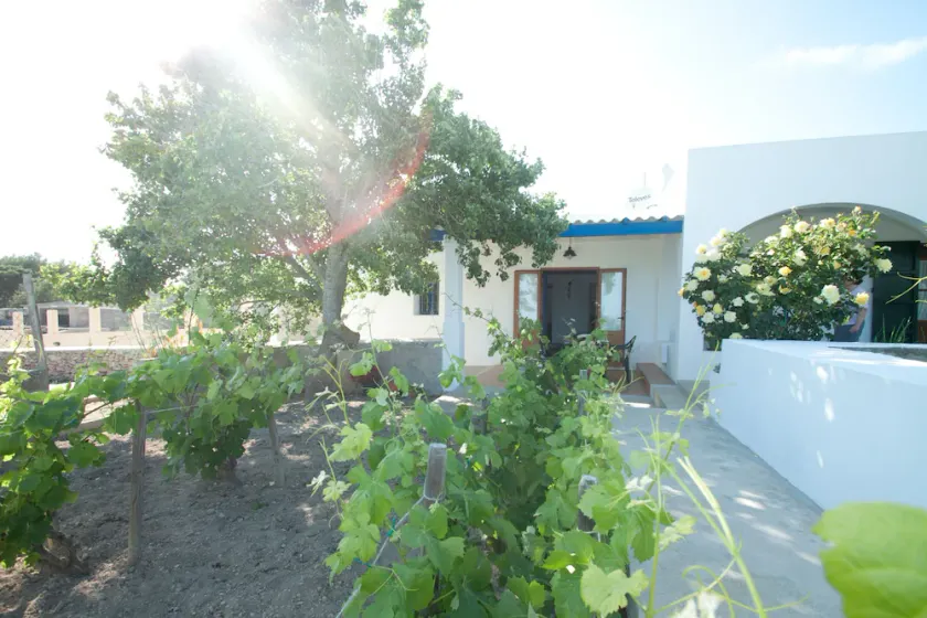Stille hus beliggende i det højeste punkt i Formentera - Image 1